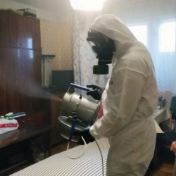 Дезинфекция от клопов в Лебедяни