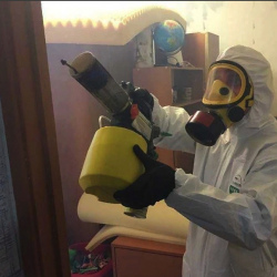Уничтожение клопов в квартире. Лебедянь